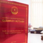 LOR HOSPİTALIN GƏNC, İSTEDADLI CƏRRAHI OP. DR. SEVİNC ŞIXALİYEVANIN FƏALİYYƏTİ