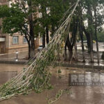 Gümrüdə qumbara ilə silahlanmış şəxs polis binasına hücum edib