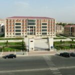 Bakıda iki qardaş və bir bacı dalaşıblar, bıçaqlanan var