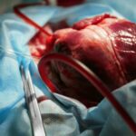 23 yaşlı gənc özünü tövlədə öldürdü