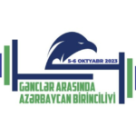 Qardaş və bacıdan DƏHŞƏTLİ addım: Özlərini 24-cü mərtəbədən atdılar