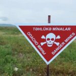 Separatçılar Xocalının daha bir kəndində çətənə plantasiyaları salıb – FOTOLAR